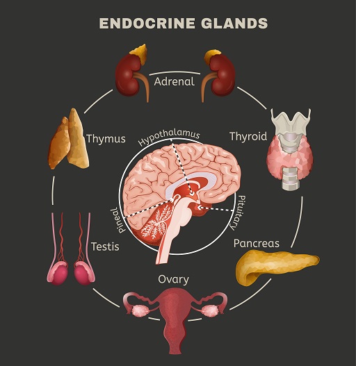 kliniki-cheirourgikis-endokrinon-adenon